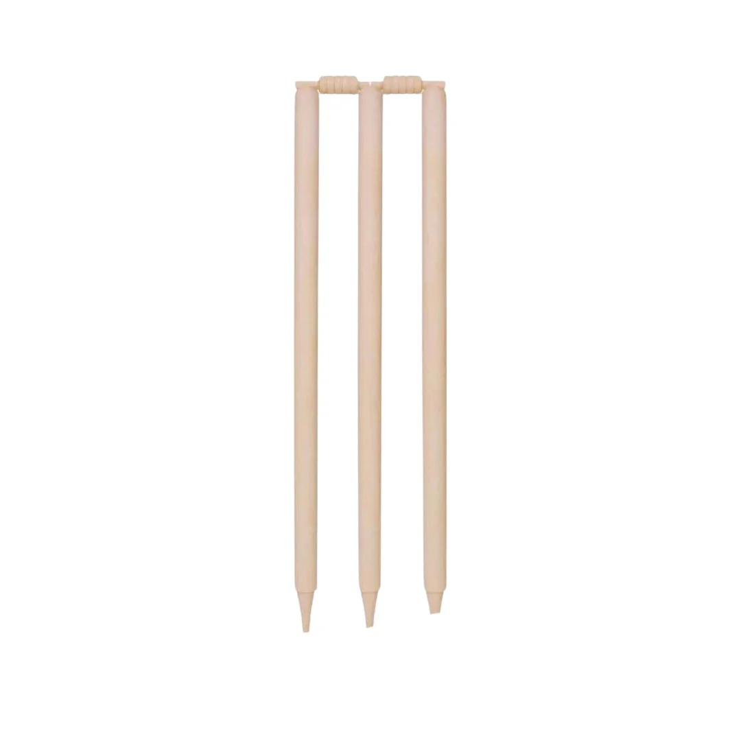 DSC BLEACHED AND POLISHED CRICKET STUMP SET - Image 2