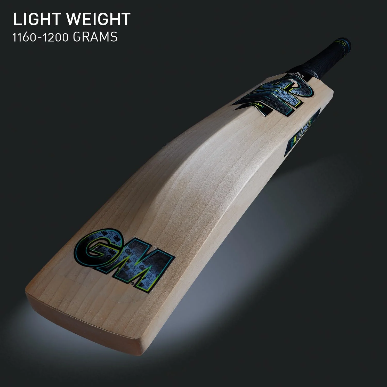 GM Aion DXM 404 Cricket Bat - Image 3