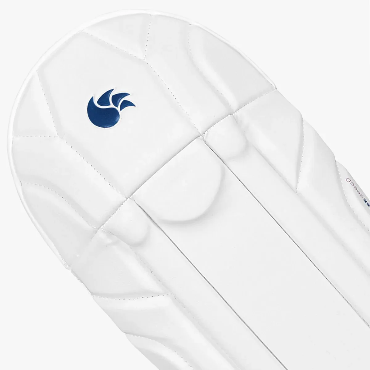 DSC Intense Speed Wicket Keeping Leg Guard - Image 4
