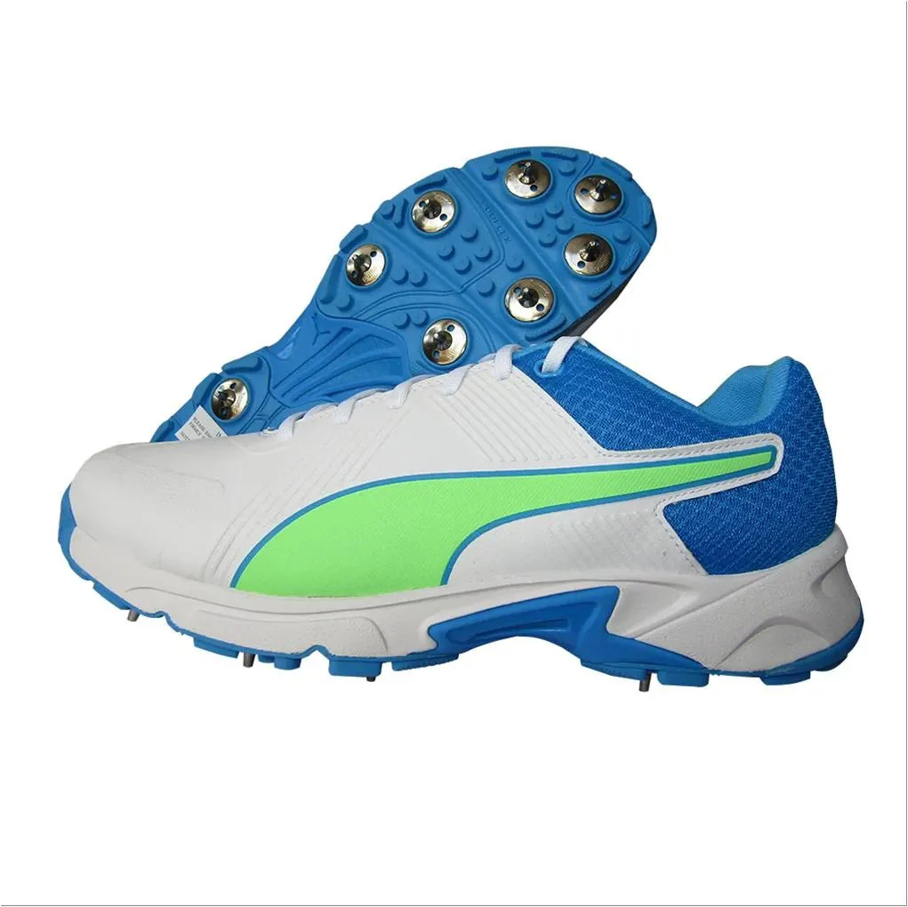 Puma 19.2 Spike Cricket Shoes Puma White Nrgy Blue Green
