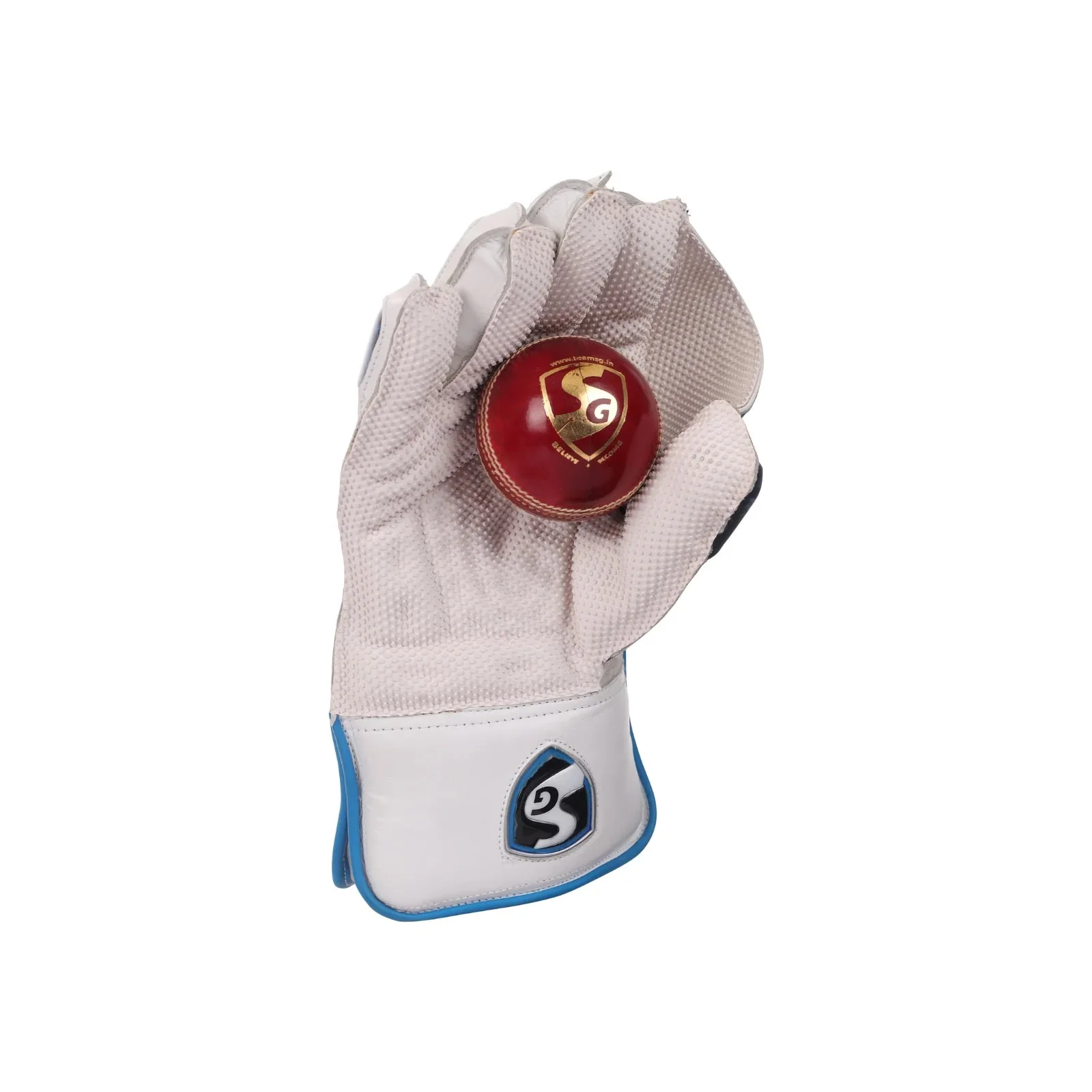 SG RSD Xtreme Wicket Keeping Gloves (Multi-Color) - Image 4