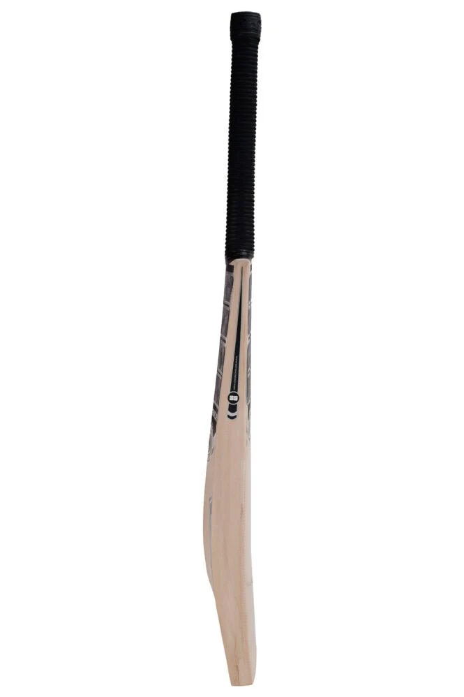 SS Premium Silver Kashmir Willow Cricket Bat – Grade 2 (Short Handle) - Image 4