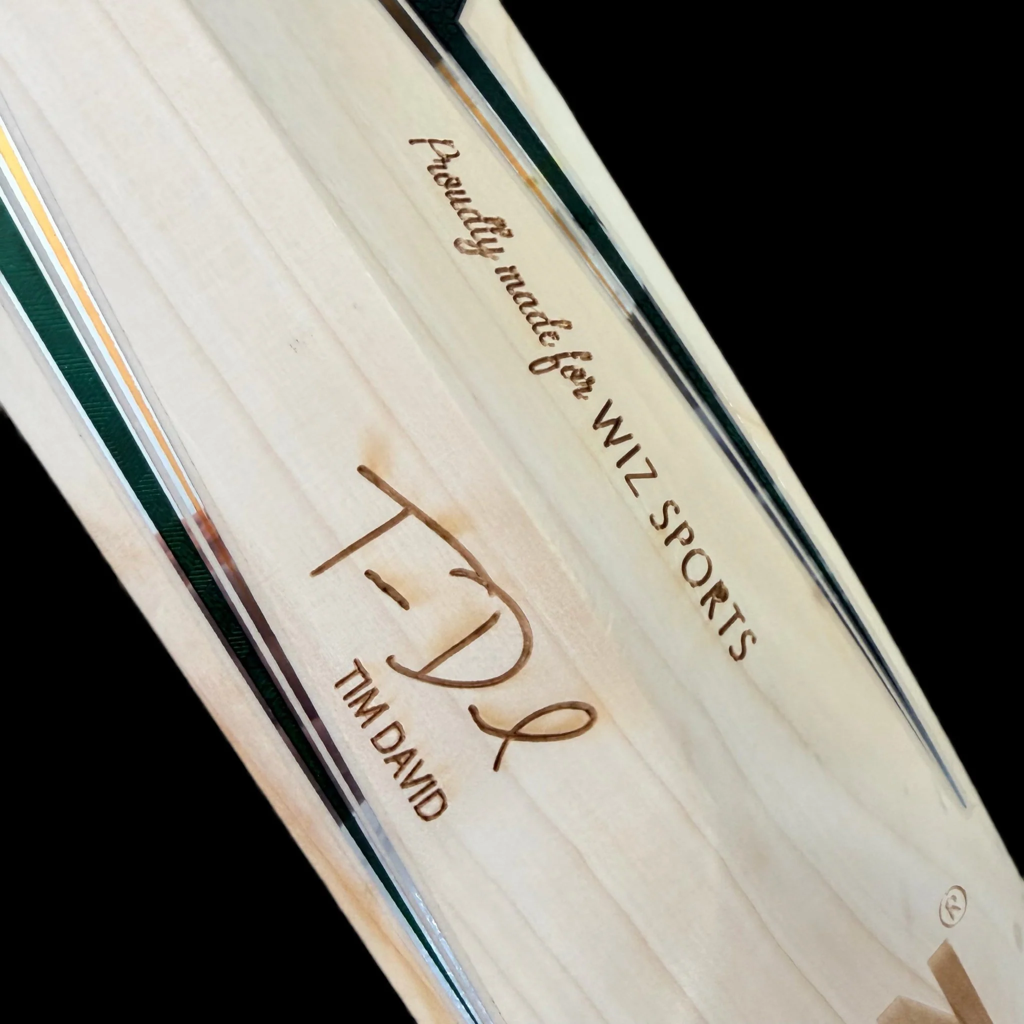 SS Tim David Gama Players Cricket Bat – SH (26 Edition) - Image 5